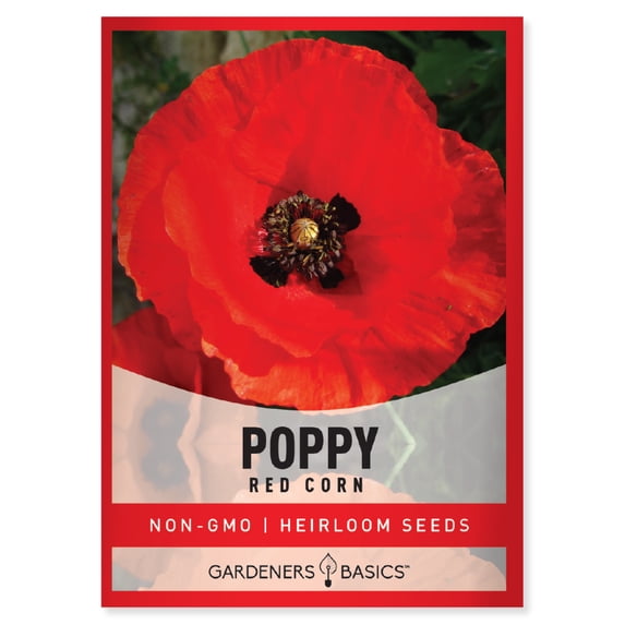 Red Corn Poppy Seeds