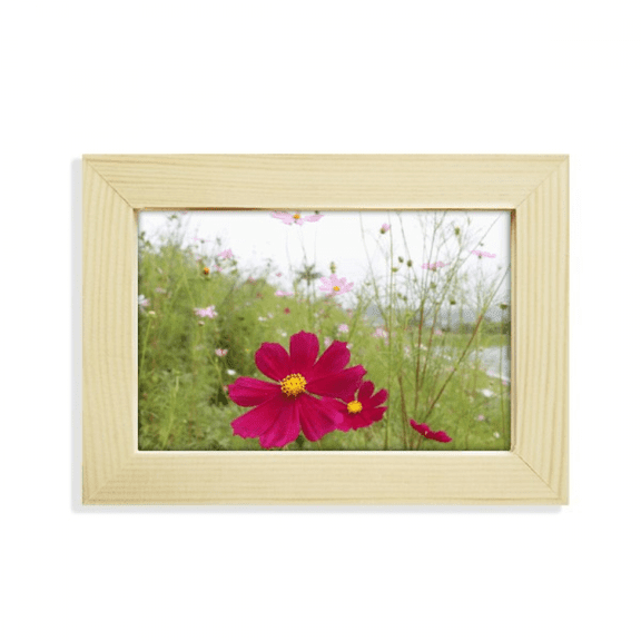 Red Cosmos Art Deco Fashion Desktop Decorate Photo Frame Picture Art Painting 5x7 inch