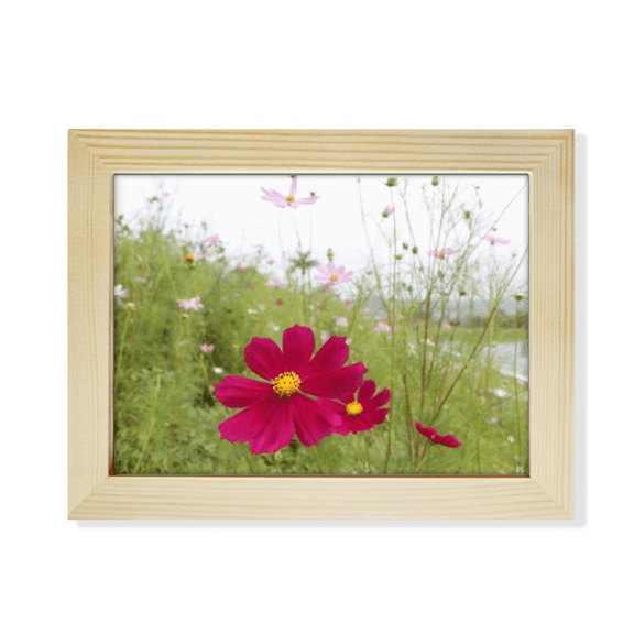Red Cosmos Art Deco Fashion Desktop Photo Frame Picture Art Decoration Painting 6x8 inch