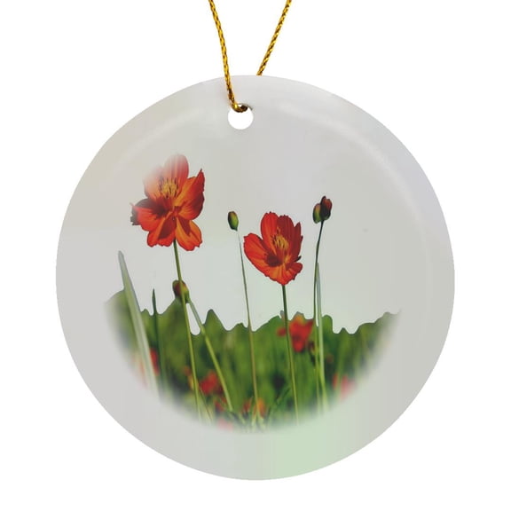 3drose, Red Cosmos Flower in a Meadow Isolated on White, Circle Porcelain Ornament