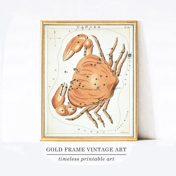 Red Crab Coastal Wall Art Minimal Beach House Decor Living Room Bedroom Office