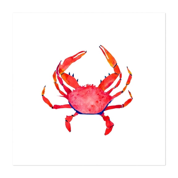 Red Crab - Painting Watercolor Marine Life Aquatic Illustration Beach Nautical Unframed Wall Art Print 20 x 20 inches