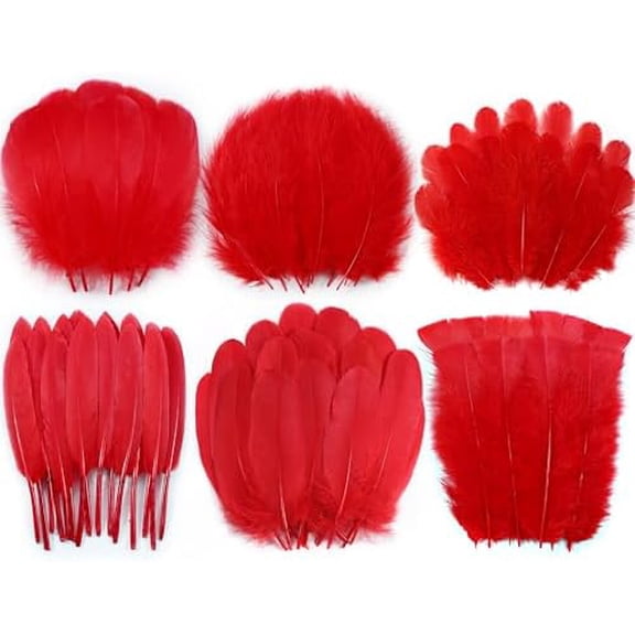 Red Craft Feathers Bulk - 240pcs 6 Style Mixed Natural Feathers for Wedding Home Party, Dream Catcher Supplies and DIY Crafts (Red)