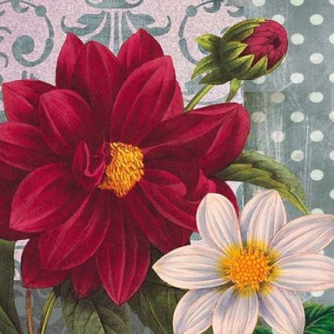 Red Dahlia Canvas Art - Walter Robertson (24 x 24)