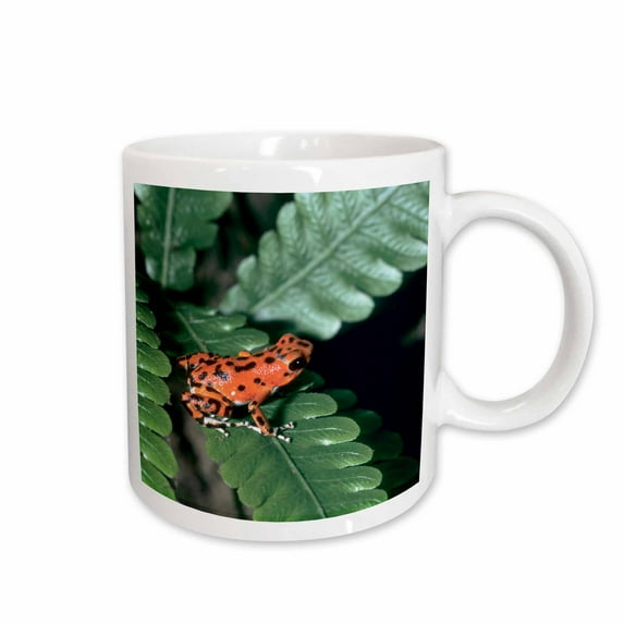 3drose, Red Dart Frog Panama - Sa15 Mde0009 - Michael Defreitas, 11oz Mug