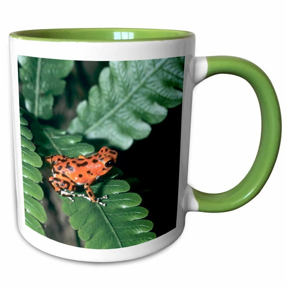 3drose, Red Dart Frog Panama - Sa15 Mde0009 - Michael Defreitas, 11oz Two-tone Green Mug
