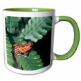 thumbnail image 1 of 3drose, Red Dart Frog Panama - Sa15 Mde0009 - Michael Defreitas, 15oz Two-tone Green Mug, 1 of 6