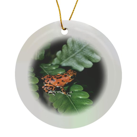 3drose, Red Dart Frog Panama - Sa15 Mde0009 - Michael Defreitas, Circle Porcelain Ornament
