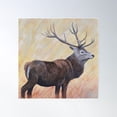 thumbnail image 1 of Red Deer - Deer Stag - Hart Poster Wall Art, Modern Wall Decor For Living Room Bedroom, 24x24 UNFRAMED, 1 of 3
