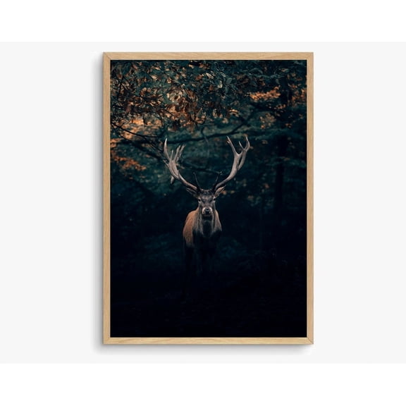 Red Deer Print, Wild Deer Photography, Nordic Animal Poster, Wildlife Landscape Print, Wall Art, Modern Wall Decor, 16x24 UNFRAMED