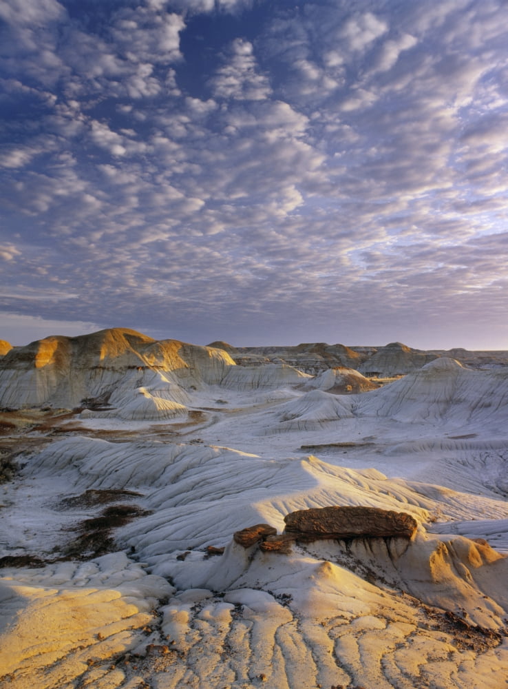 Red Deer River Badlands Dinosaur Provincial Park Alberta Canada Canvas Art - Darwin Wiggett Design Pics (13 x 18)