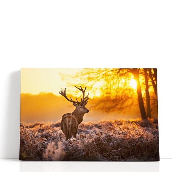 Red Deer Stag in Forest During Sunrise - Wrapped Canvas Print Wall Art | 18" W x 12" H