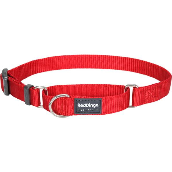 Red Dingo Classic Red Martingale Dog Collar, Red, Medium