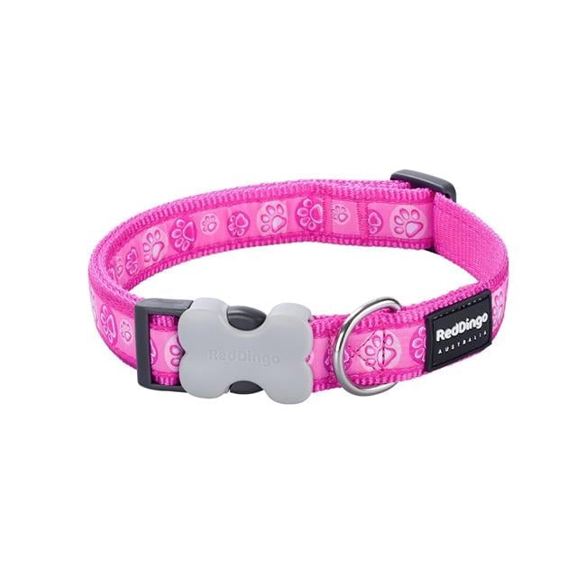Collier pour Chien Red Dingo STYLE STARS LIME ON HOT PINK 31-47 cm