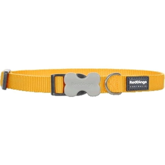 Red Dingo DC-ZZ-YE-12 Red Dingo Dog Collar Classic Yellow Extra Small