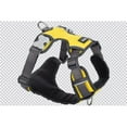 thumbnail image 1 of Red Dingo  Dog Padded Harness, Yellow - Medium, 1 of 1