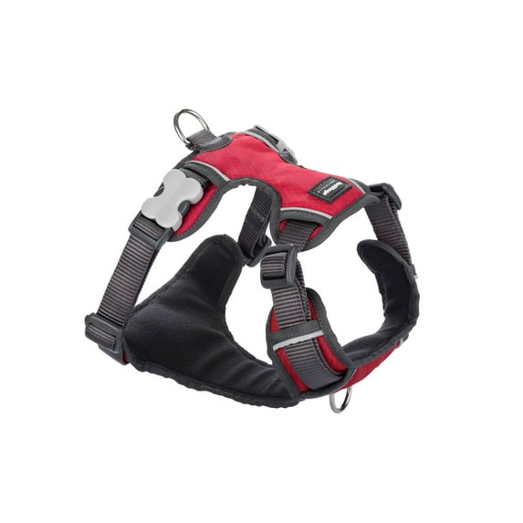 Red Dingo Padded Harness Red, Extra-Small