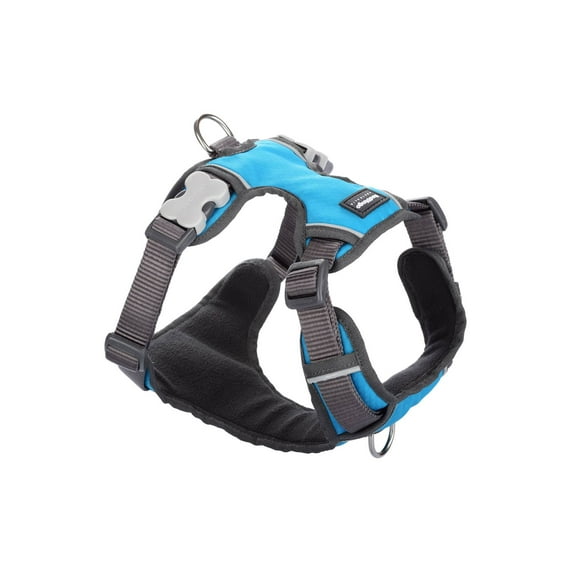 Red Dingo Padded Safety Dog Harness, Turquoise, Medium