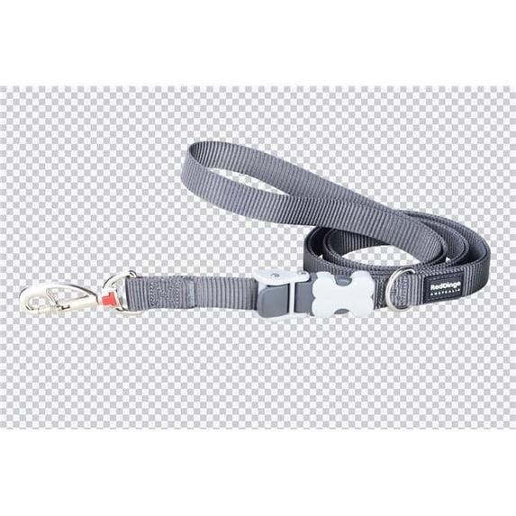Red Dingo SL-ZZ-GY-15 15 mm Multipurpose Classic Dog Nylon Super Lead Cool Gray - Small