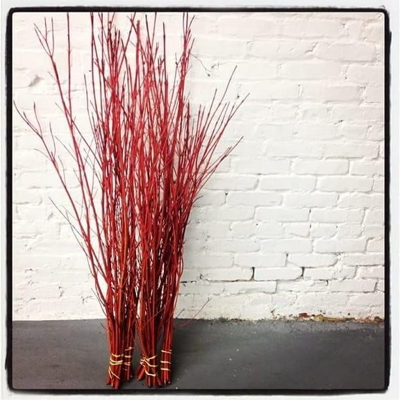 Red Dogwood Branches, Vase Filler Decor 26-36 Inches Tall - 100% All Natural. - Vase Filler, Wedding Decoration (10 Branches)