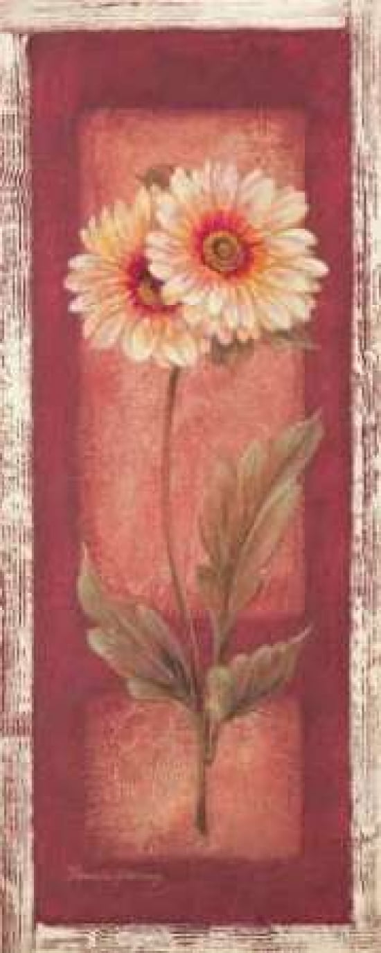 Red Door Gaillardia Canvas Art - Pamela Gladding (10 x 20)