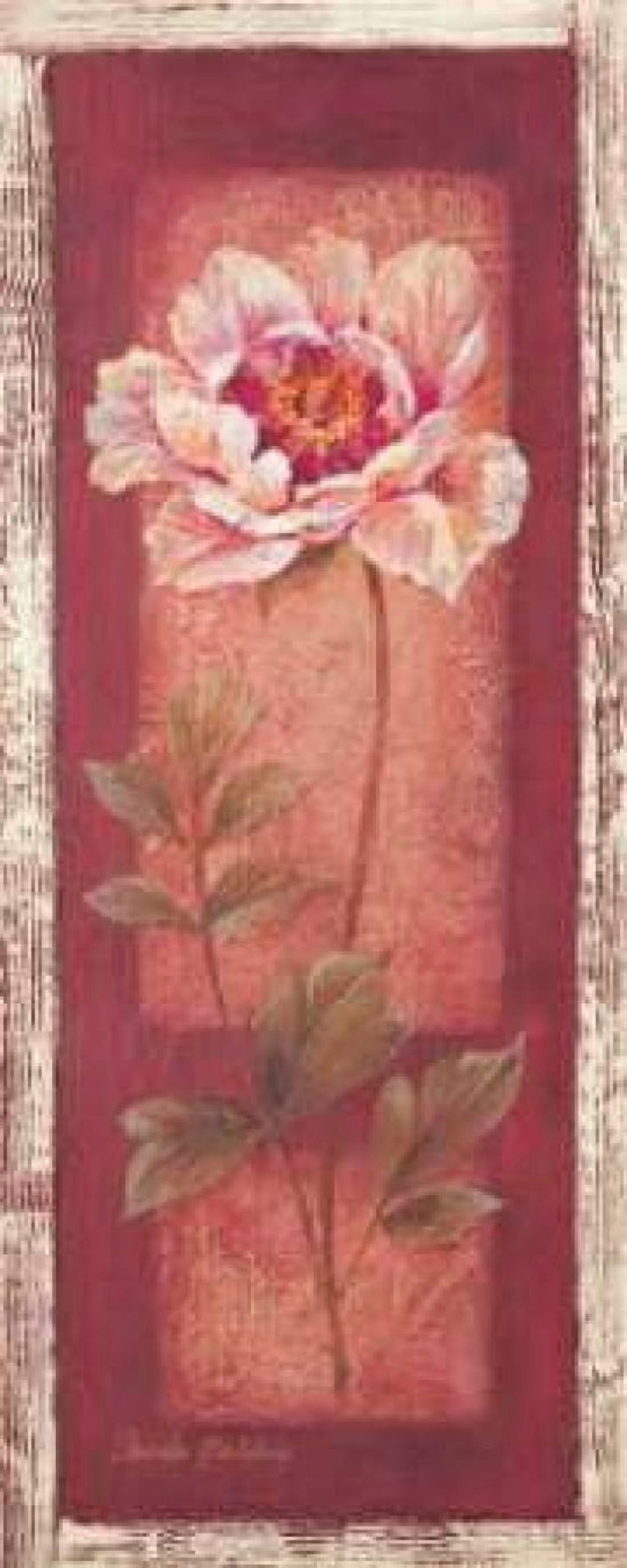 Red Door Peony Canvas Art - Pamela Gladding (10 x 20)
