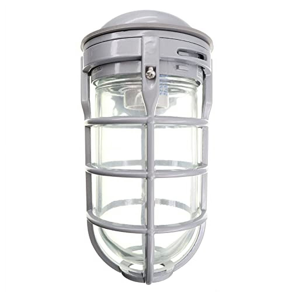 Red Dot 150-Watt Ceiling Mount Metal Cage Globe Light