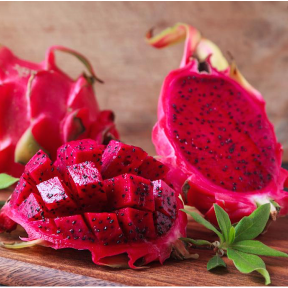 Red Dragon Fruit Live Plant, Sweet Dragon Fruit Plant for Outdoor, Climbing Cactus Night Bloom Flowers in 4 Inc Pot - No Ship CA