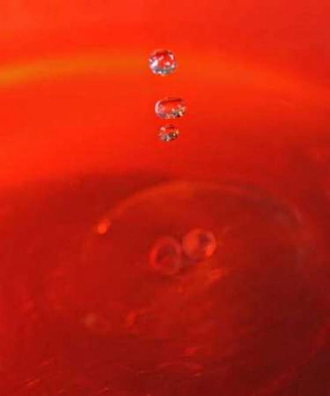Red Drink Drop II Canvas Art - Tammy Putman (24 x 24)