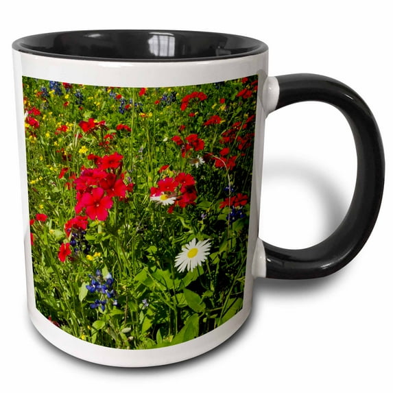 3drose, Red Drummond Phlox Flower, Goliad Park, Texas, Usa - Us44 Ldi1059 - Larry Ditto, 11oz Two-tone Black Mug