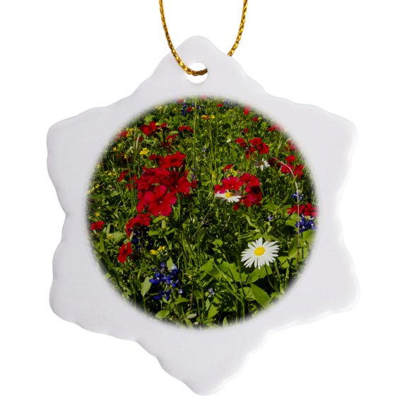 3drose, Red Drummond Phlox Flower, Goliad Park, Texas, Usa - Us44 Ldi1059 - Larry Ditto, 3 inch Snowflake Porcelain Ornament