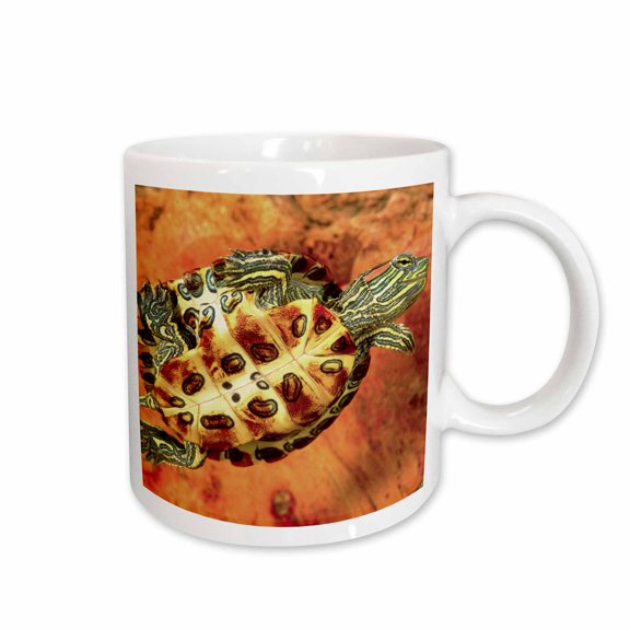 3drose, Red Ear Slider Turtle Hatchling - Na02 Dno0535 - David Northcott, 11oz Mug