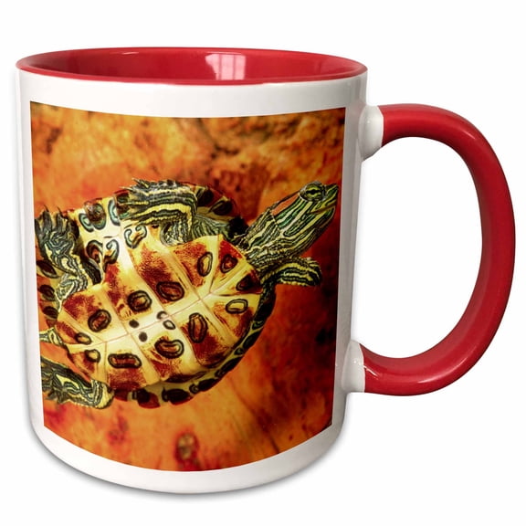 3drose, Red Ear Slider Turtle Hatchling - Na02 Dno0535 - David Northcott, 15oz Two-tone Red Mug