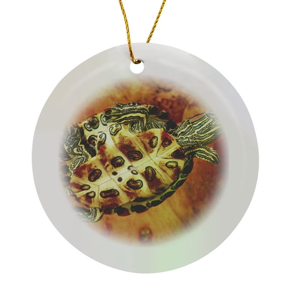 3drose, Red Ear Slider Turtle Hatchling - Na02 Dno0535 - David Northcott, Circle Porcelain Ornament