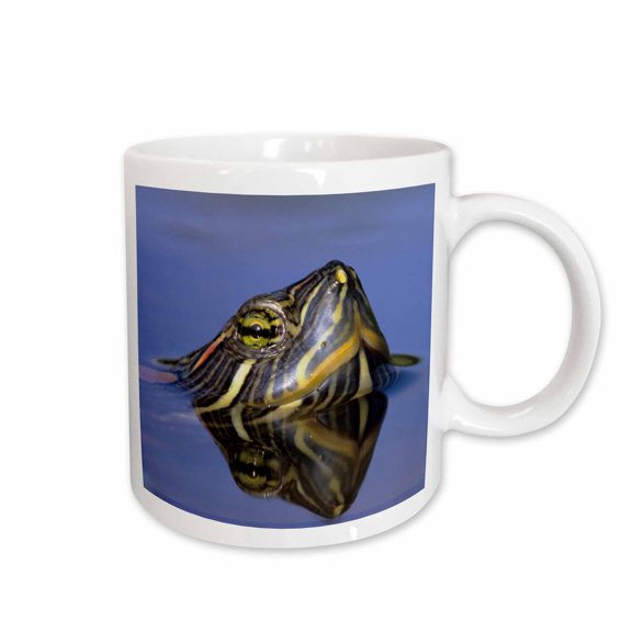3drose, Red-eared Slider Turtle, Rio Grande Valley, Texas - Na02 Rnu0745 - Rolf Nussbaumer, 11oz Mug
