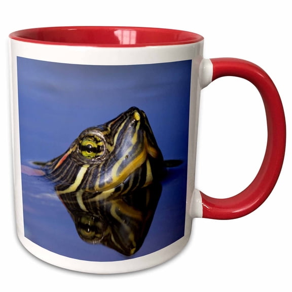 3drose, Red-eared Slider Turtle, Rio Grande Valley, Texas - Na02 Rnu0745 - Rolf Nussbaumer, 11oz Two-tone Red Mug