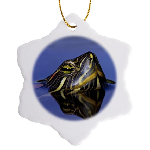 3drose, Red-eared Slider Turtle, Rio Grande Valley, Texas - Na02 Rnu0745 - Rolf Nussbaumer, 3 inch Snowflake Porcelain Ornament