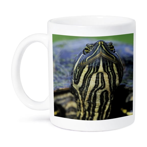 Red-Eared Slider Turtle, Rio Grande Valley, Texas - Na02 Rnu0746 - Rolf Nussbaumer, 11oz Mug