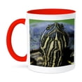 thumbnail image 1 of Red-Eared Slider Turtle, Rio Grande Valley, Texas - Na02 Rnu0746 - Rolf Nussbaumer, 11oz Two-Tone Red Mug, 1 of 7