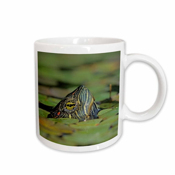 3drose, Red-eared Slider Turtle, Rio Grande Valley, Texas - Us44 Rnu0218 - Rolf Nussbaumer, 11oz Mug