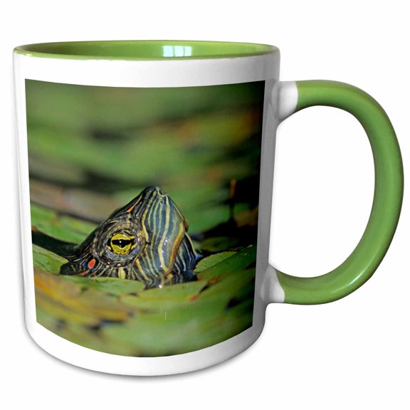 3drose, Red-eared Slider Turtle, Rio Grande Valley, Texas - Us44 Rnu0218 - Rolf Nussbaumer, 11oz Two-tone Green Mug
