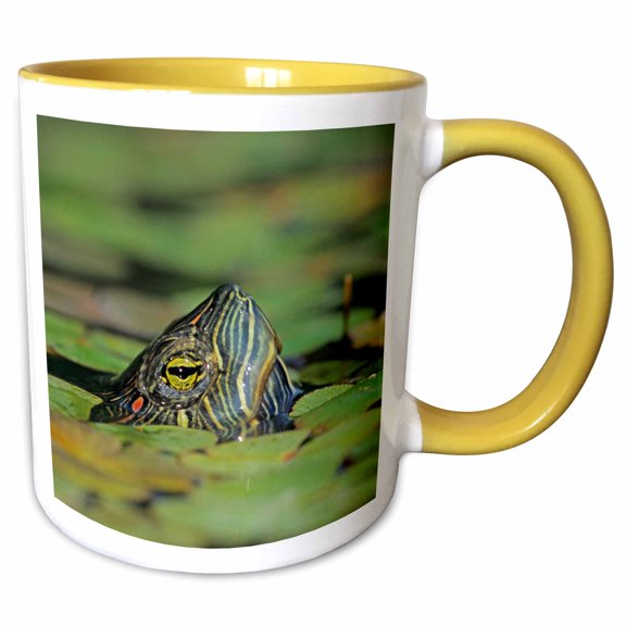 3drose, Red-eared Slider Turtle, Rio Grande Valley, Texas - Us44 Rnu0218 - Rolf Nussbaumer, 15oz Two-tone Yellow Mug