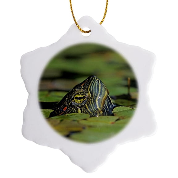 3drose, Red-eared Slider Turtle, Rio Grande Valley, Texas - Us44 Rnu0218 - Rolf Nussbaumer, 3 inch Snowflake Porcelain Ornament