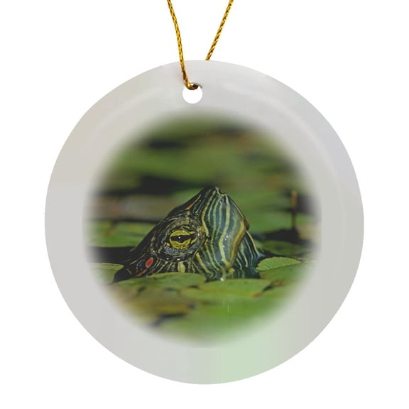 3drose, Red-eared Slider Turtle, Rio Grande Valley, Texas - Us44 Rnu0218 - Rolf Nussbaumer, Circle Porcelain Ornament