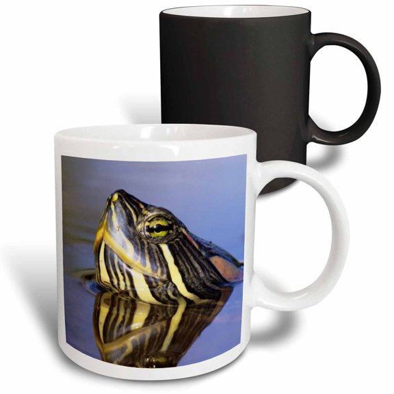 3drose, Red-eared Slider Turtle, Rio Grande Valley, Texas - Us44 Rnu0219 - Rolf Nussbaumer, 11oz Magic Transforming Mug