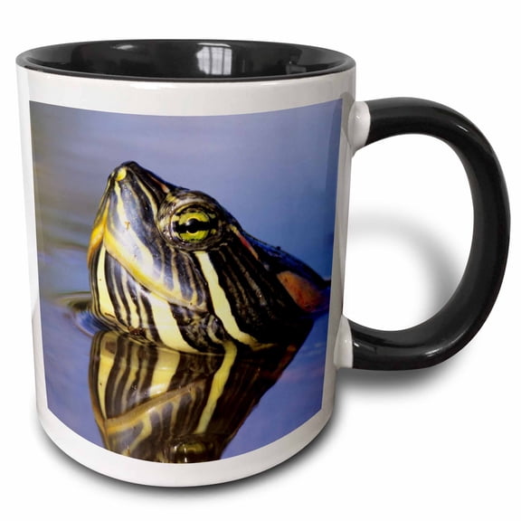 3drose, Red-eared Slider Turtle, Rio Grande Valley, Texas - Us44 Rnu0219 - Rolf Nussbaumer, 11oz Two-tone Black Mug