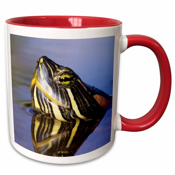 3drose, Red-eared Slider Turtle, Rio Grande Valley, Texas - Us44 Rnu0219 - Rolf Nussbaumer, 11oz Two-tone Red Mug