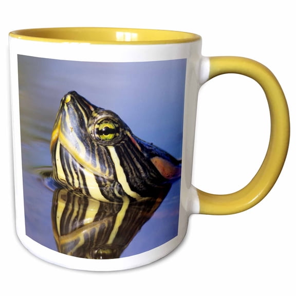3drose, Red-eared Slider Turtle, Rio Grande Valley, Texas - Us44 Rnu0219 - Rolf Nussbaumer, 11oz Two-tone Yellow Mug