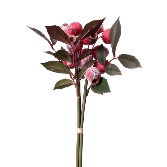 Red Eucalyptus Berries & Leaves with Branches, Hand-Tied Faux Plant Decor for Coffee Table, Farmhouse & Cozy Living Room Table Decor, Vase Filler Artificial Fruit Decor 3 Pack