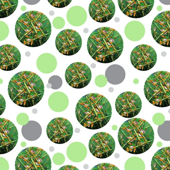 Red Eye Tree Frog Grouping Tropical Rainforest Premium Gift Wrap Wrapping Paper Roll